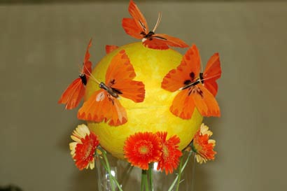 sph&egrave;re aux papillons